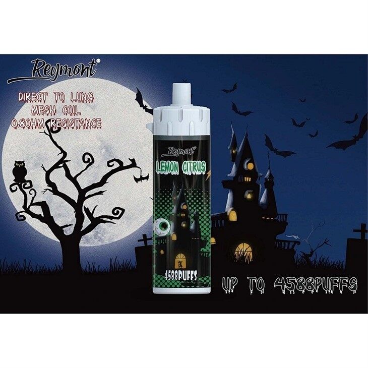 Reymont DTL Big and Bigger (8)