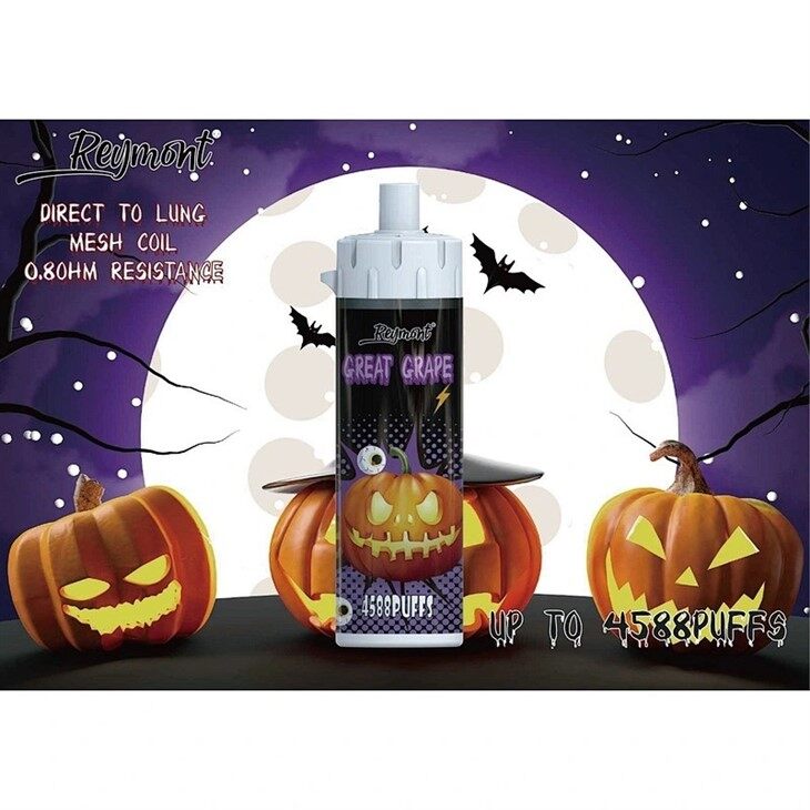 Reymont DTL Big and Bigger (9)