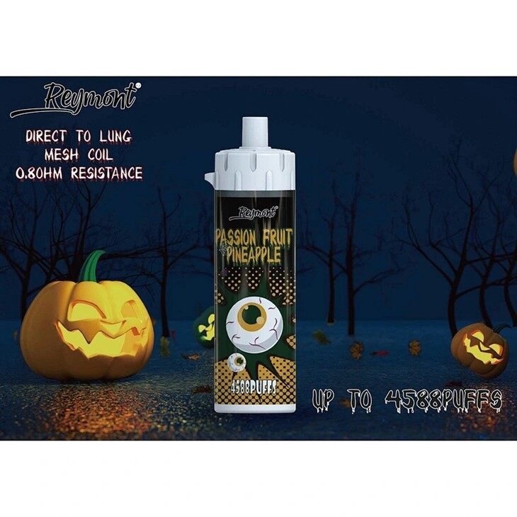 Reymont DTL Big and Bigger (13)