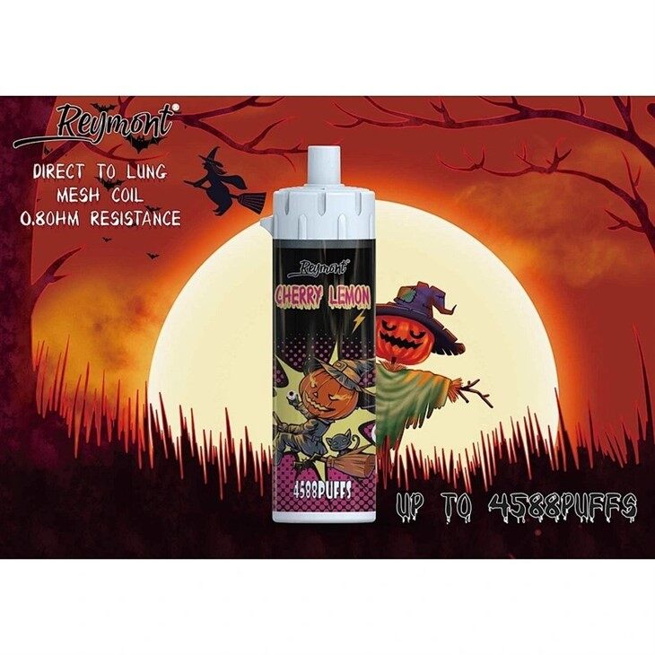 Reymont DTL Big and Bigger (16)