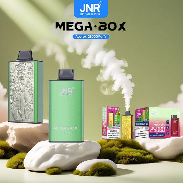 Mega Box Business Fashion je podobná e-cigaretám Zippo