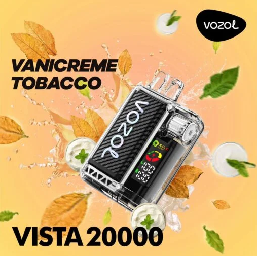 vozol vista 20000 puffs (10)
