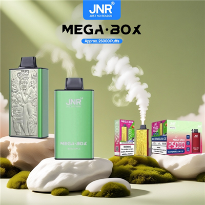 Mega Box Business Fashion je podoben e-cigaretam Zippo