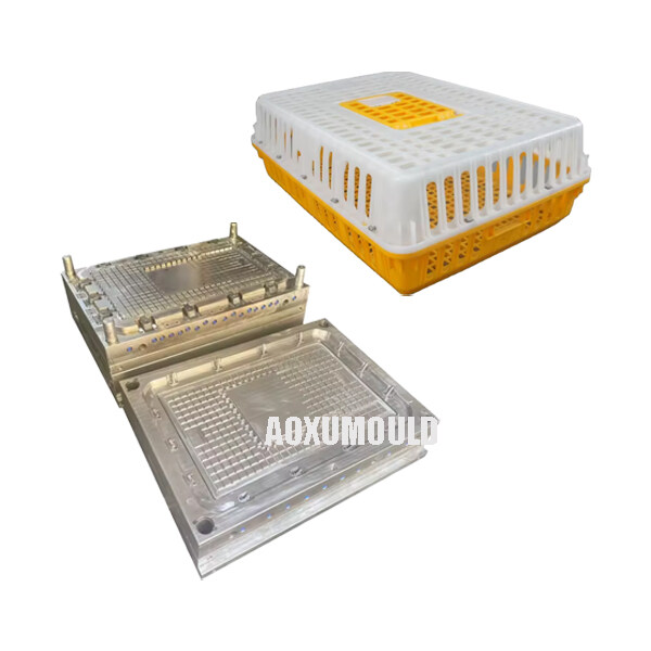 Molde para caja de transporte de pollos