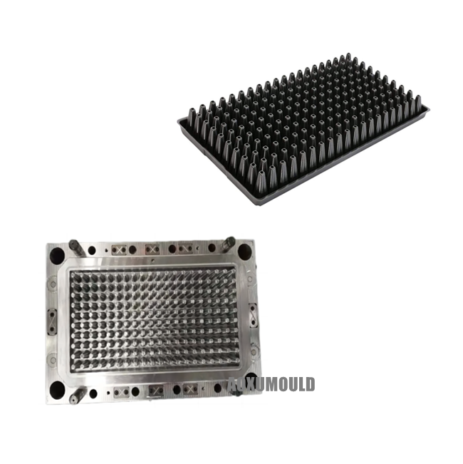 बीज शुरू ट्रे मोल्ड