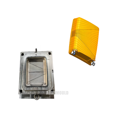 Ritininis lagamino pelėsis