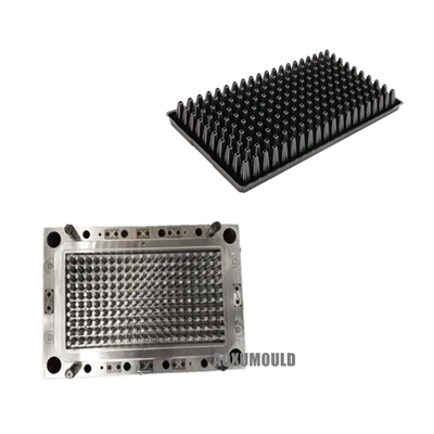 SEED BẮT ĐẦU M khuôn Khay