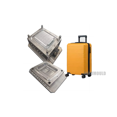Trolley Case Mould