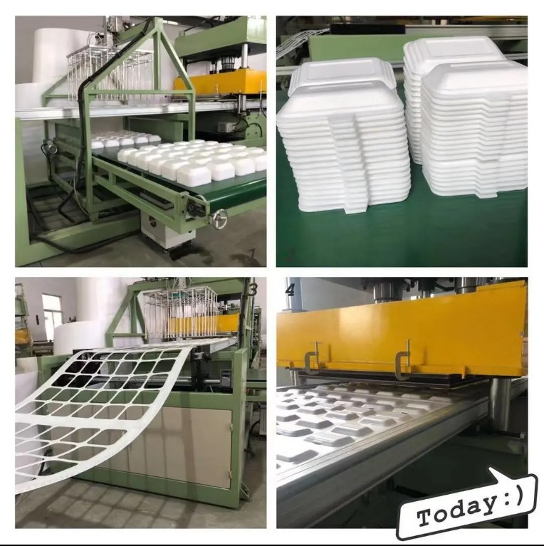 Disposable Foam School Lunch Trays Compartment Plates Food Box Meal Containers Making Machine , PLC Control