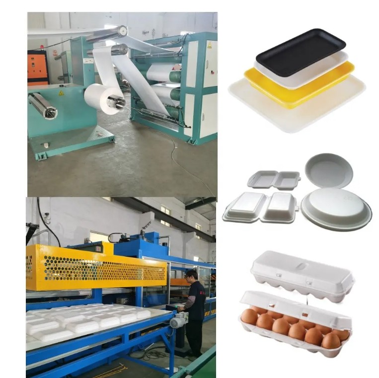 Disposable Foam School Lunch Trays Compartment Plates Food Box Meal Containers Making Machine , PLC Control