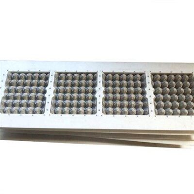Egg Carton Mould