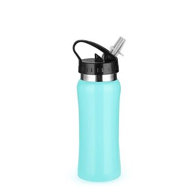 Stainless Steel Water Bottle with Sucker