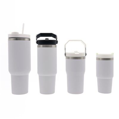 Tumbler With Lid Straw and Carry Handle