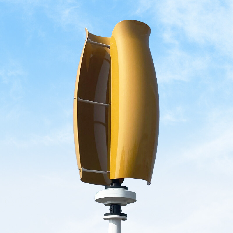 3000 vatų vėjo turbina