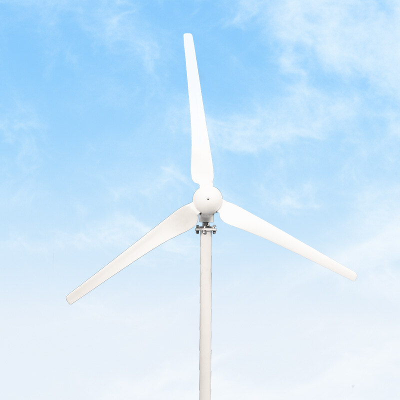 Wind Turbine 800w