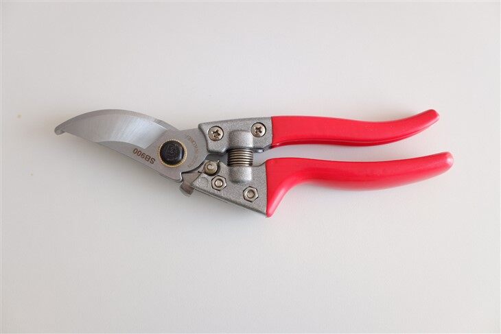 Advanced Pruning Scissors