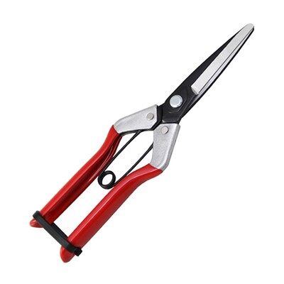 Agricultural Onion Scissors