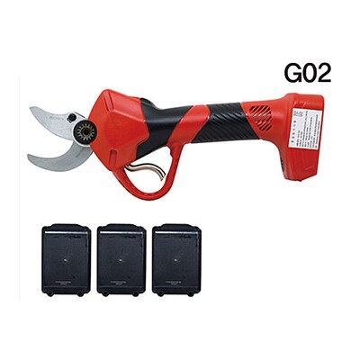 מספריים בגן חשמלי