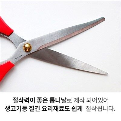 Multi Purpose Kitchen Scissors