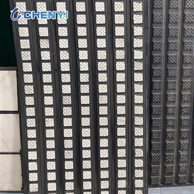 גלגלת בפיגור