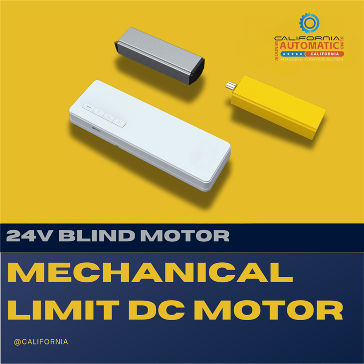 Mechanical Limit DC Motor