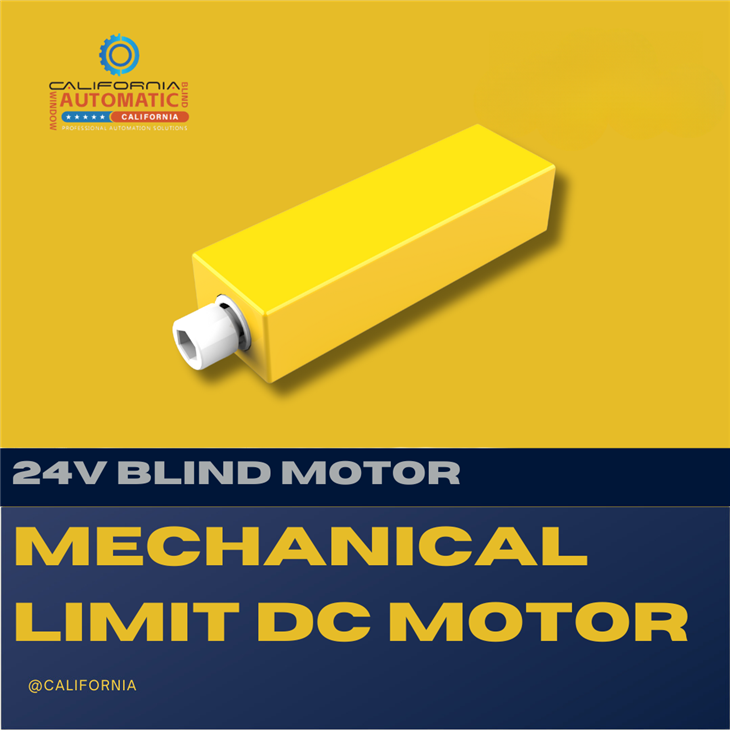 Mechanical Limit DC Motor