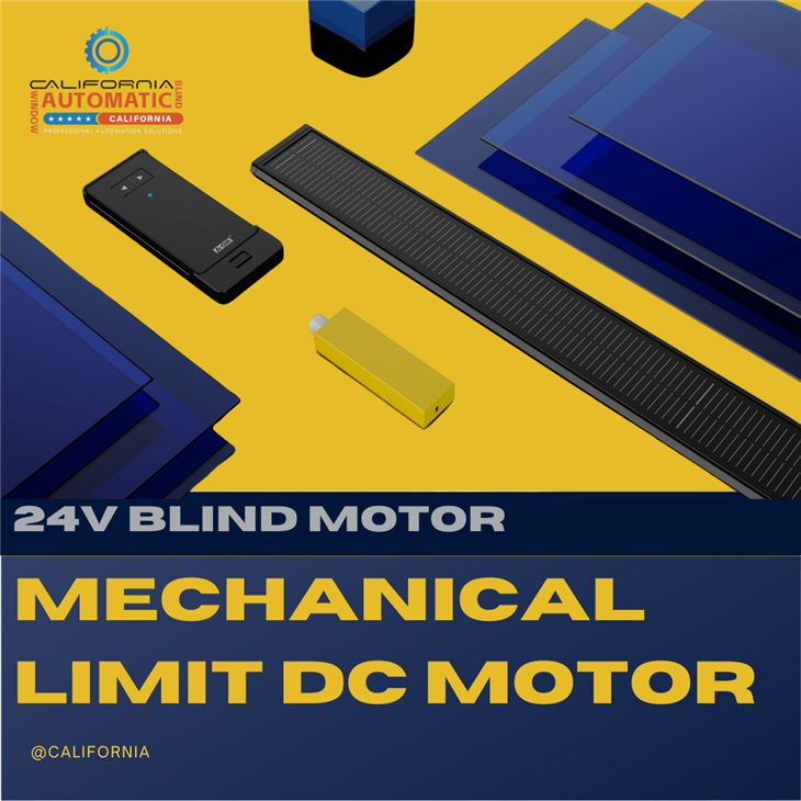 Mechanical Limit DC Motor