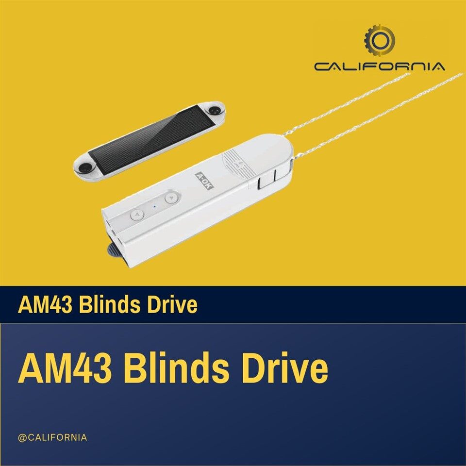 Women Avèg Chain Drive