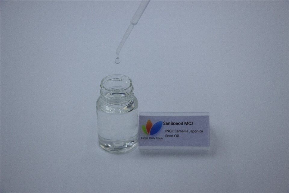 Camellia Japonica Noob Roj