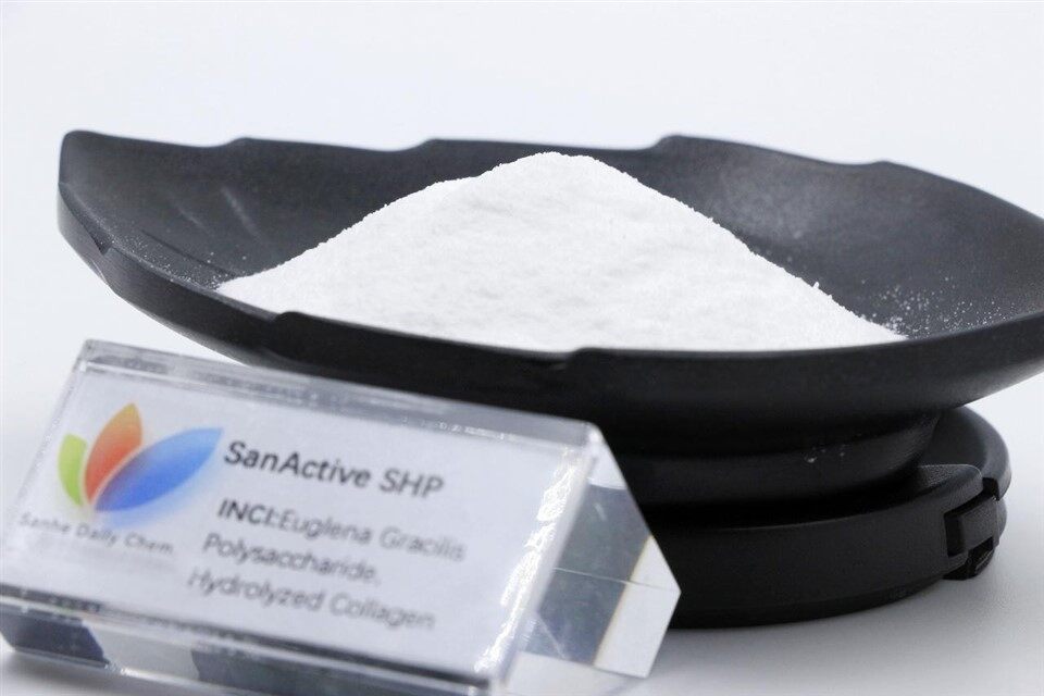 SanActive SHP 1