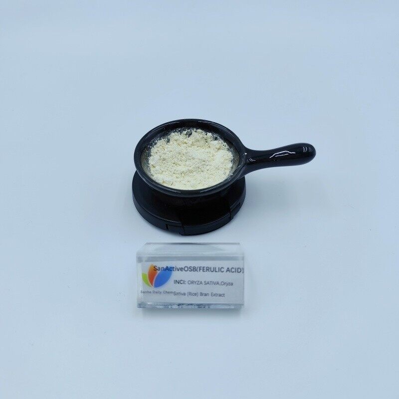 SanWhite RBE(FERULIC ACID) (2)