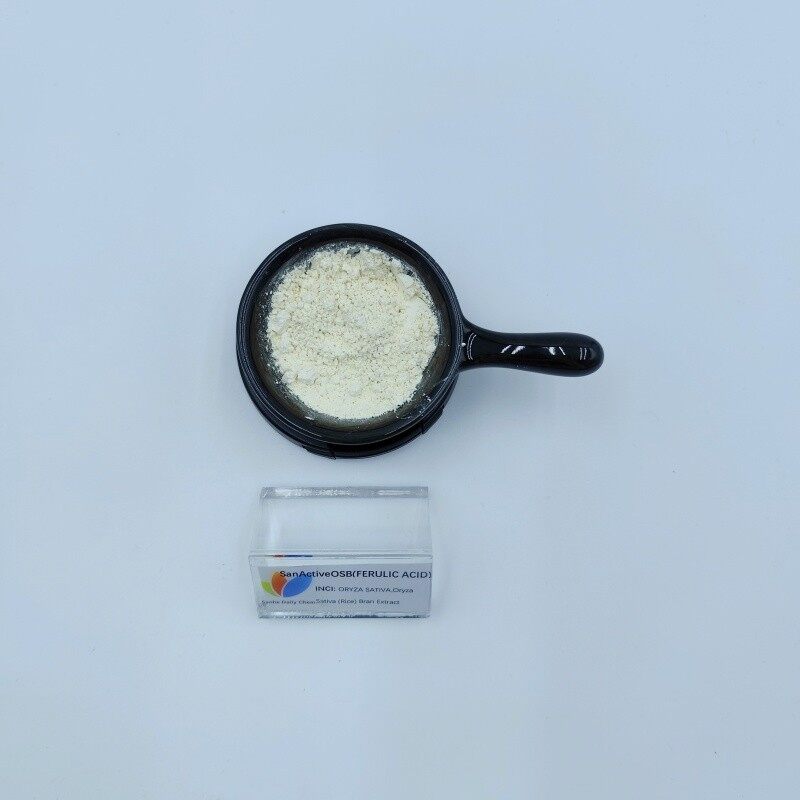 SanWhite RBE(FERULIC ACID) (4)