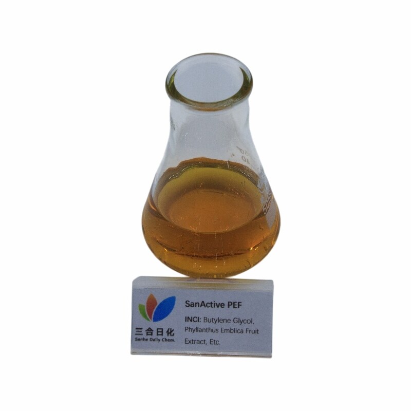 Phyllanthus emblica linn