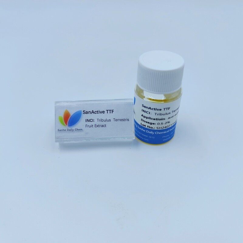 SanActive TTF (4)