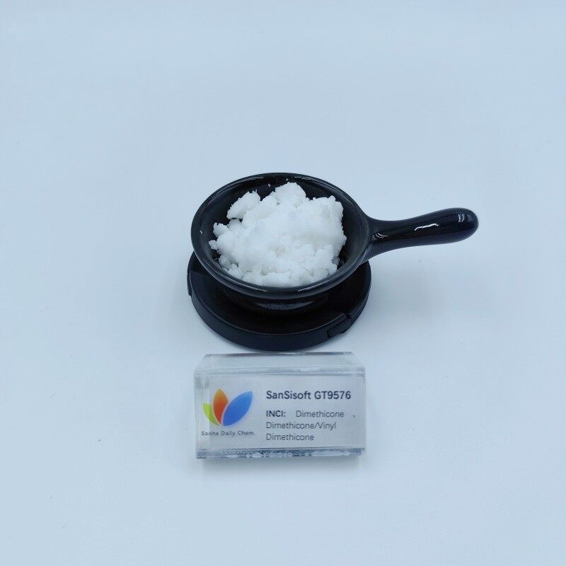 SanSisoft GT9576 (2)