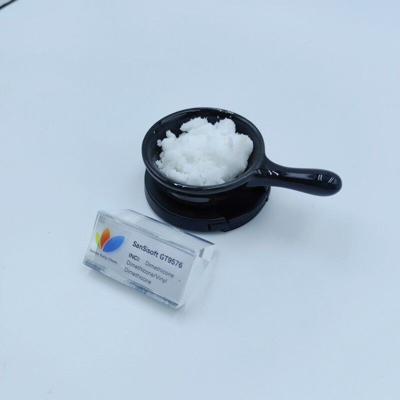 SanSisoft GT9576 (3)