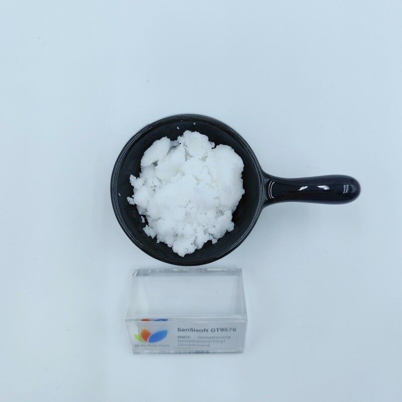 SanSisoft GT9576 (4)