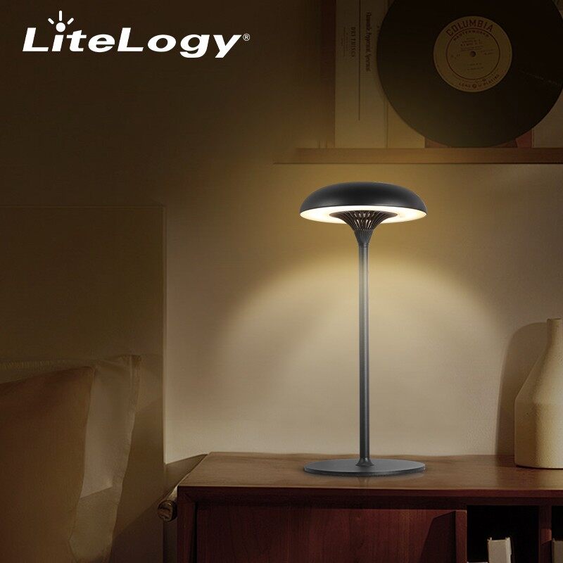 Mushroom table lamp (24)