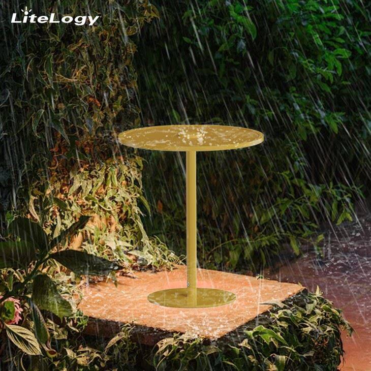 Umage Asteria Move Table Lamp (8)