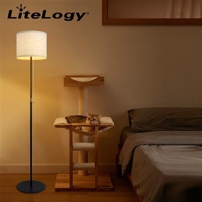 Подови лампи на батерии за всекидневна