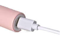 TB31A PulSonic Toothbrush With TypeC USB Charging Cable For Adults best