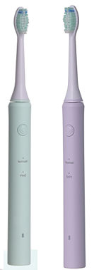 TB31A PulSonic Toothbrush With TypeC USB Charging Cable For Adults factory