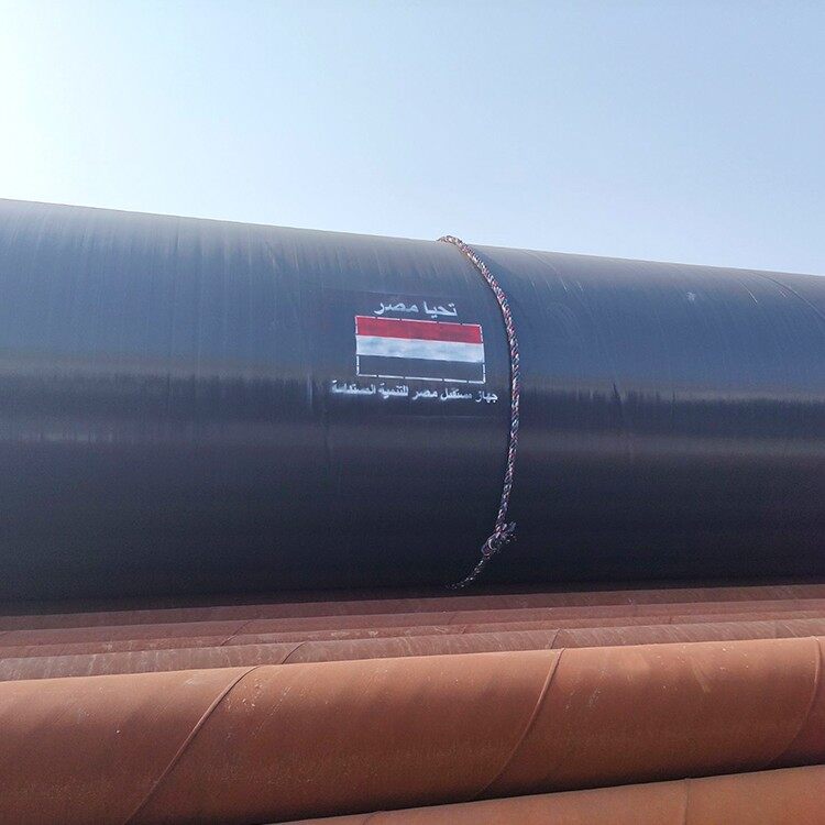 07f1ed1f06478cb8b43c284cd2a6a959