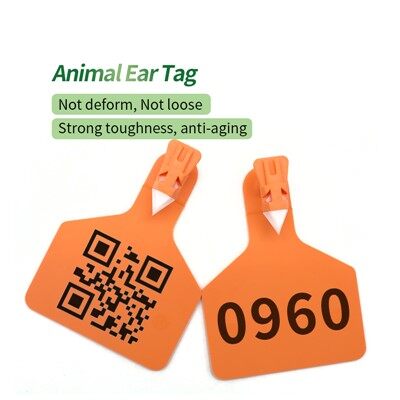 Етик за уши в говеда
