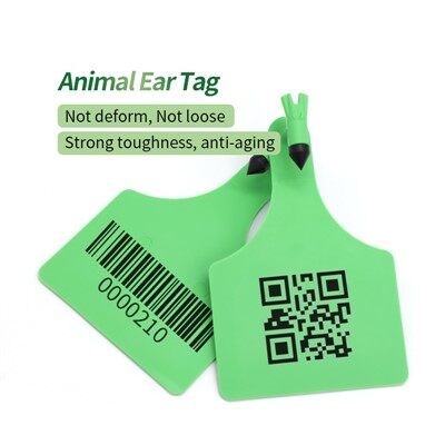 Sheep And Goat Ear Tags