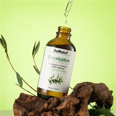 Huile Essentielle d'Eucalyptus