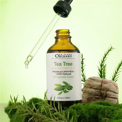 Teatree etherische olie