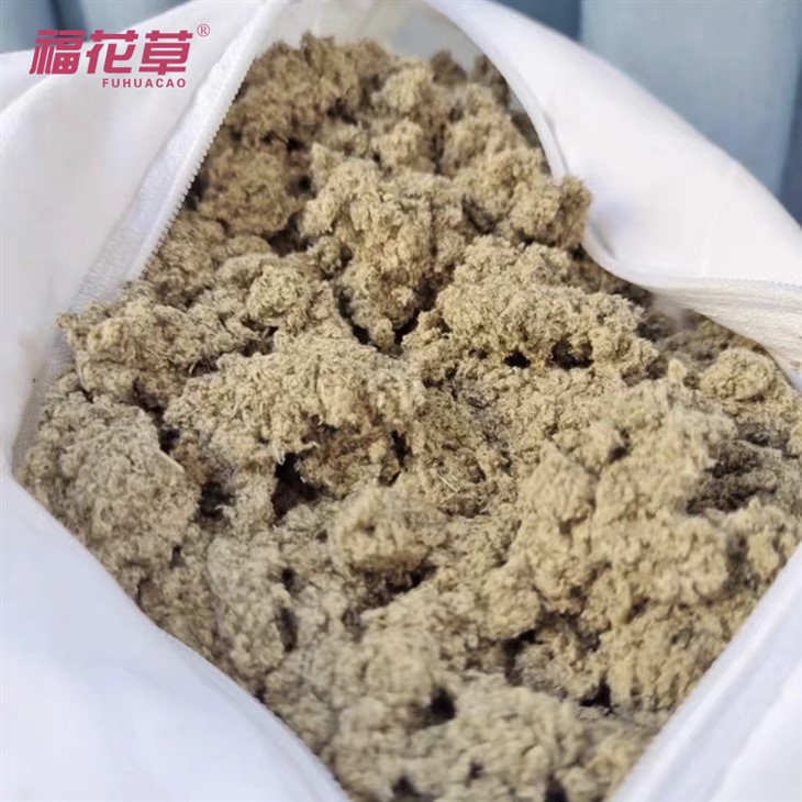 71G2qdTKoIL._AC_SX425_