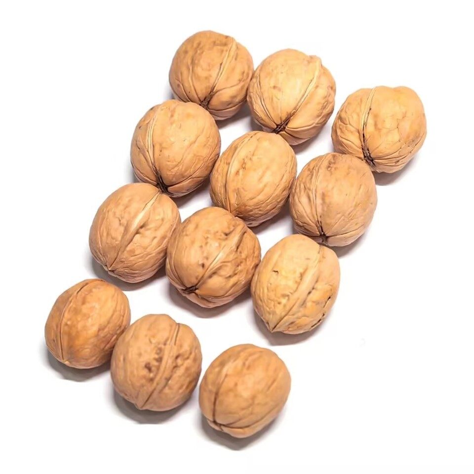 185 Walnut in Shell Washed