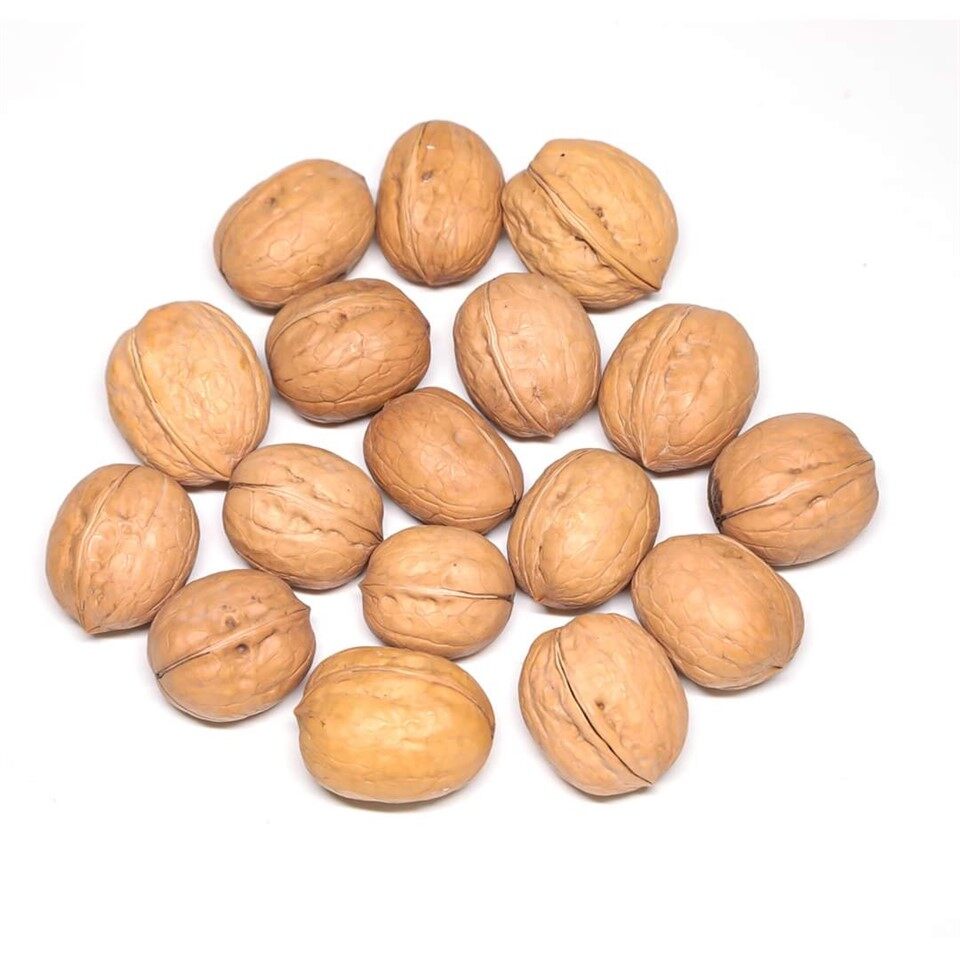 Natural Shelled Walnuts